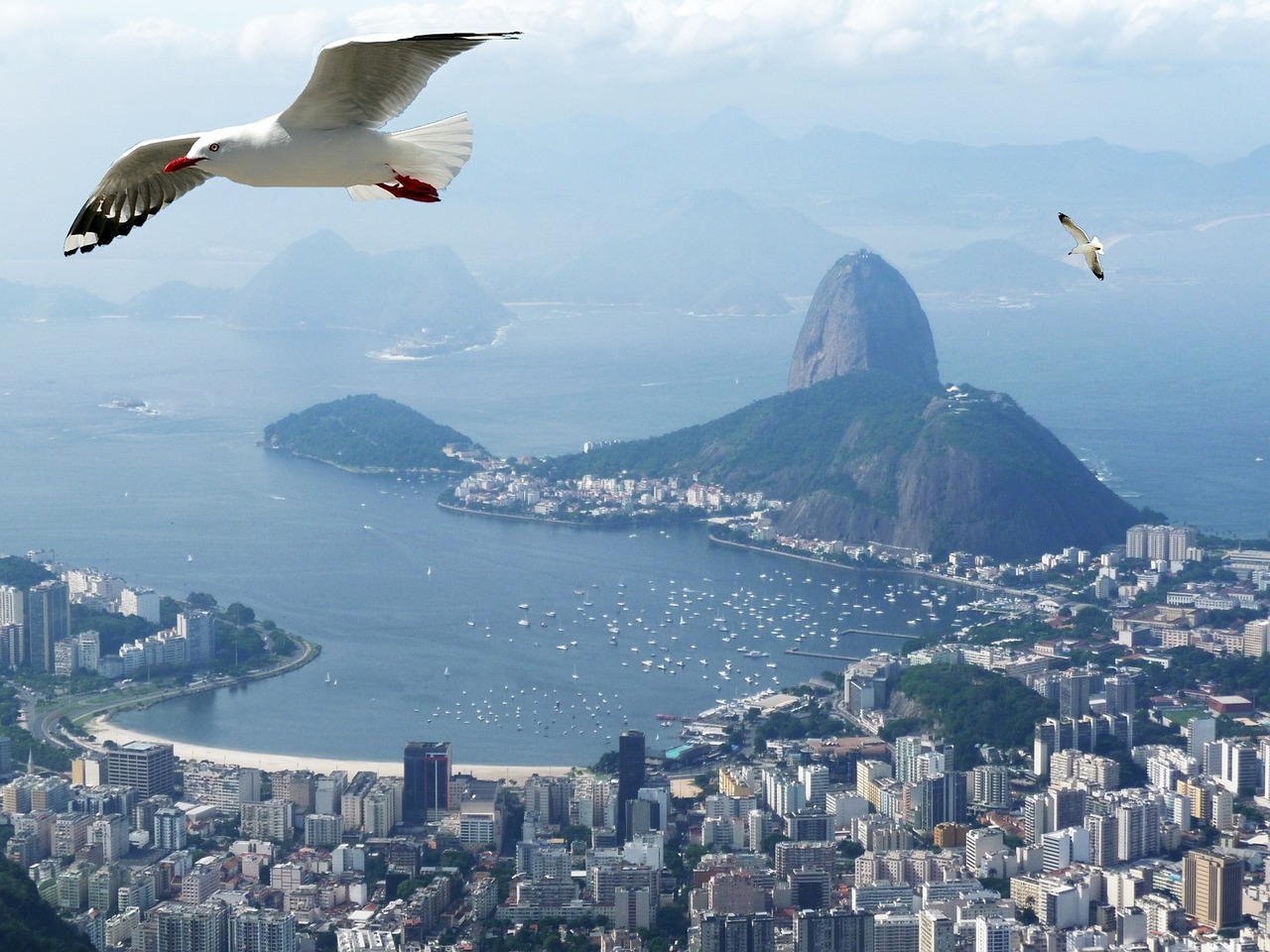 Рио де Жанейро – перлата на Бразилия