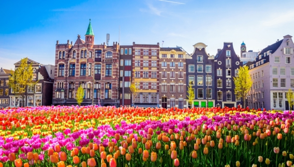 Нидерландия - Красива цветна картичка 01.05.2020г.