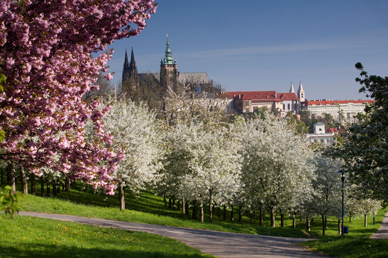 Пролет в Прага и бирен тур