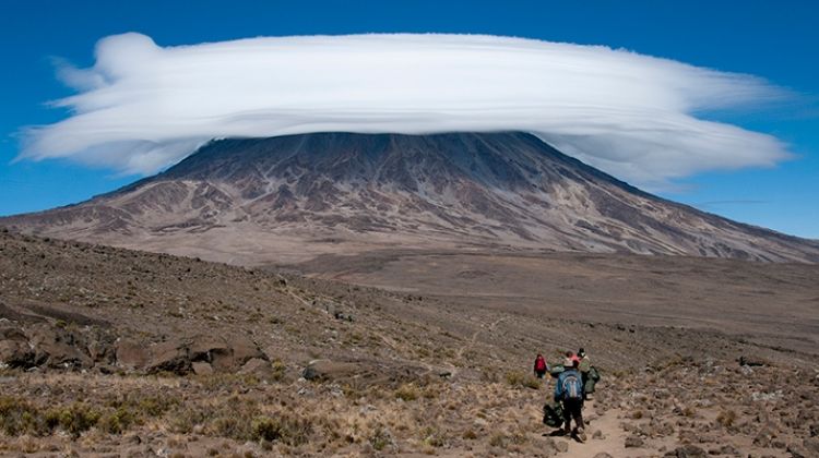 Килиманджаро - покрива на Африка, комбинация със Сафари
