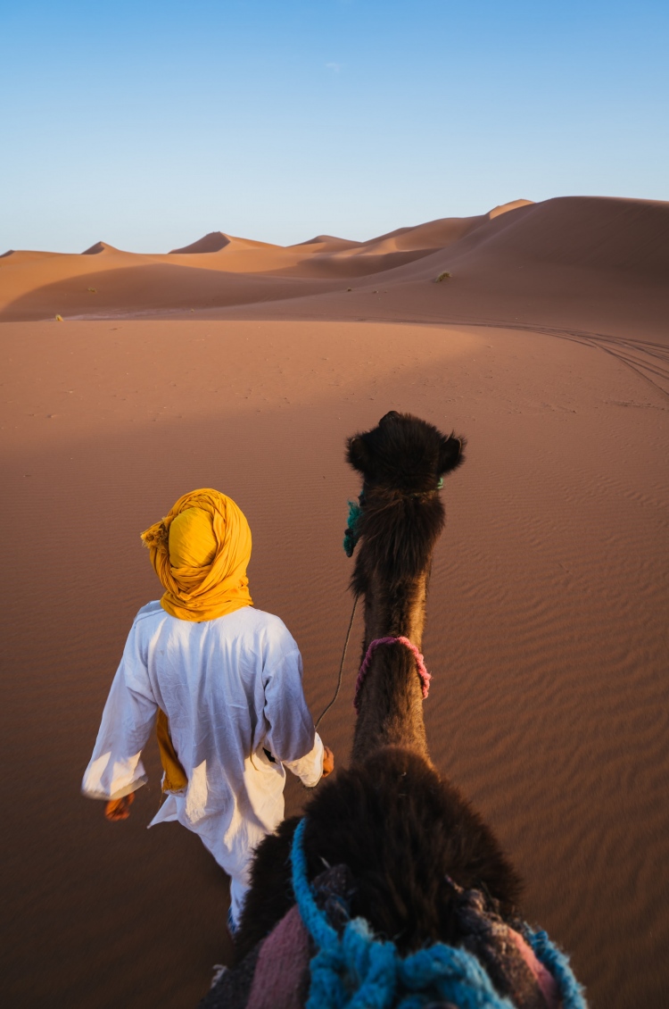 Палитрите на Мароко и пустинята Сахара 1* - МАРОКО – ПУСТИНЯТА САХАРА И ИМПЕРСКИТЕ СТОЛИЦИ