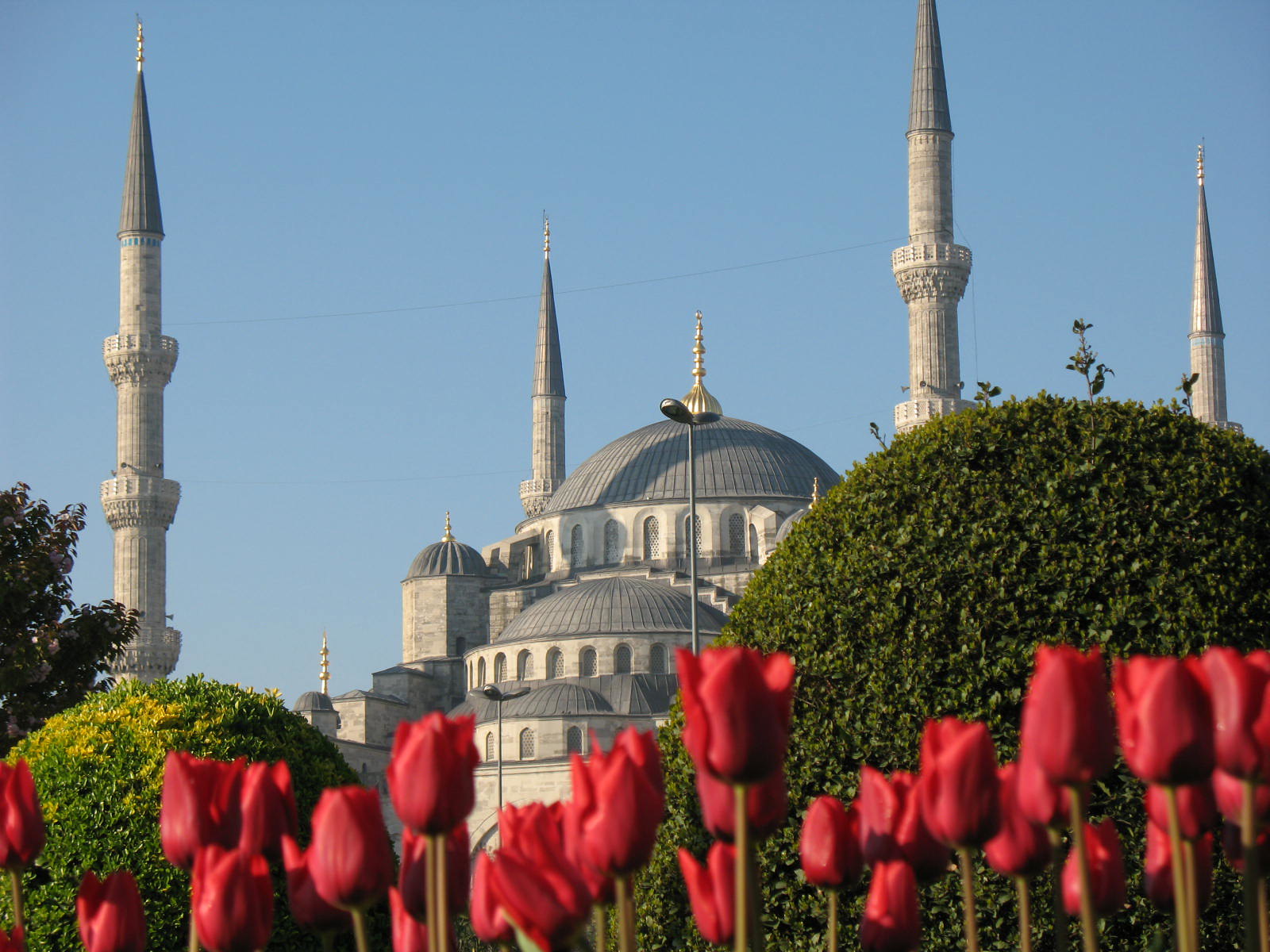 Фестивал на лалетата в Истанбул със самолет от София