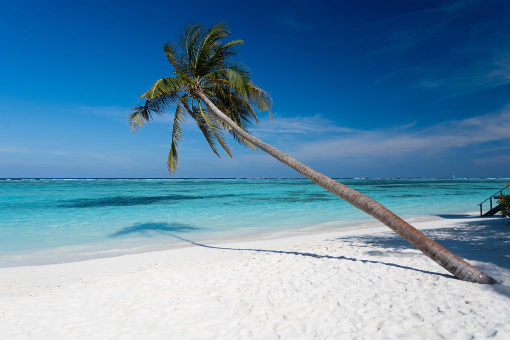 Предпразнична почивка на Малдивите, 08 - 16.12.2023г, 7 нощувки