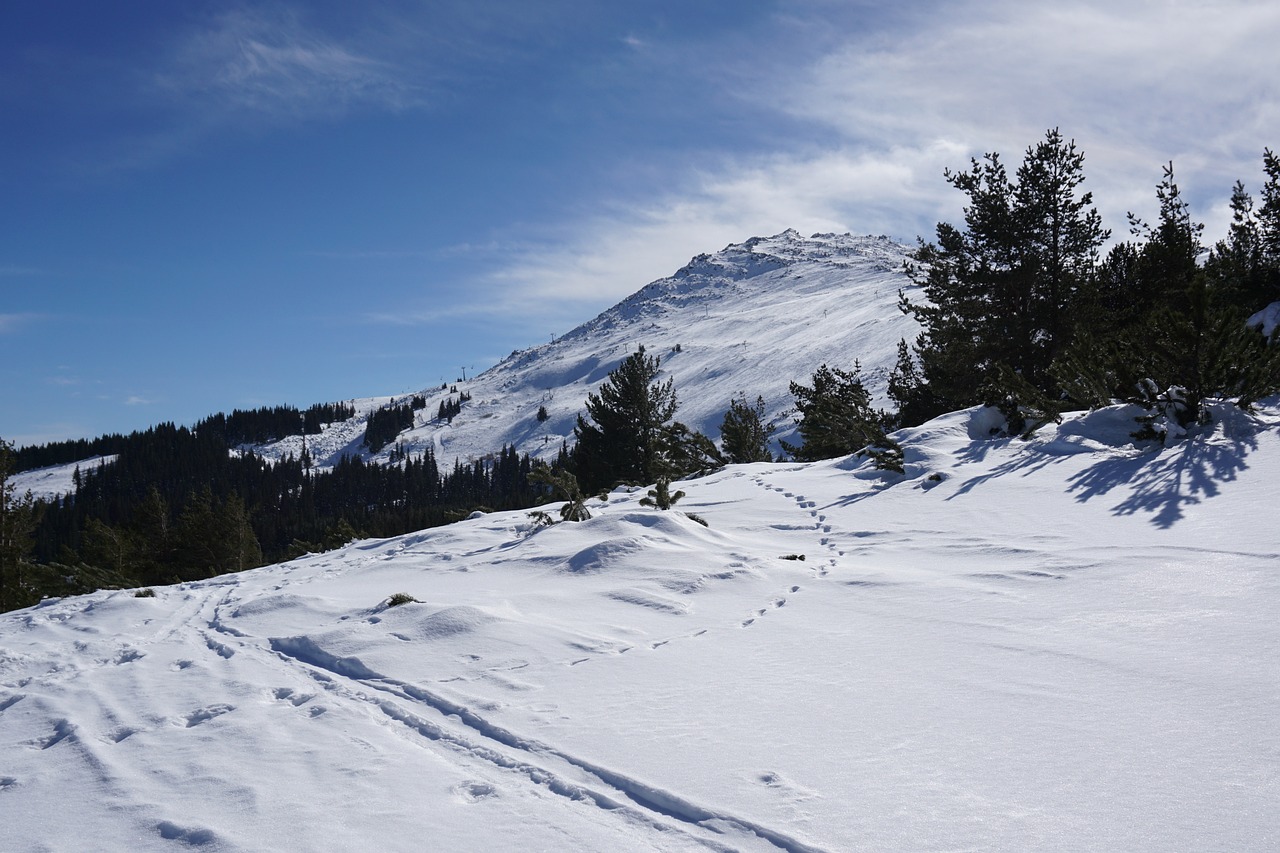 Зимна Почивка на Планина - Хотел Мальовица