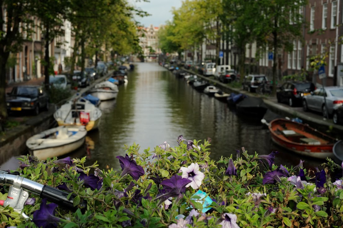 Цветна пролет в Амстердам - 07-10 май 2022