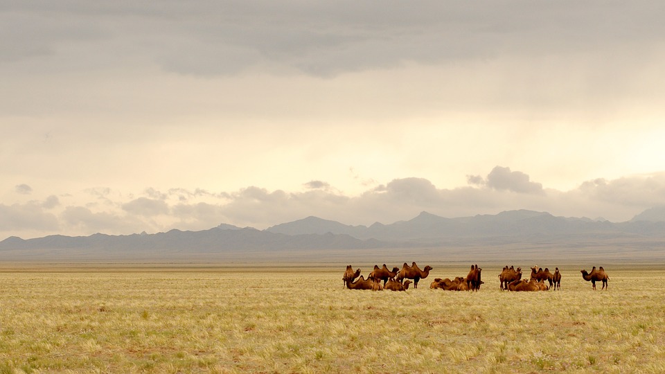 Монголия: да обичаш дивото, да усетиш тишината на Гоби - 20.05.2020 г.
