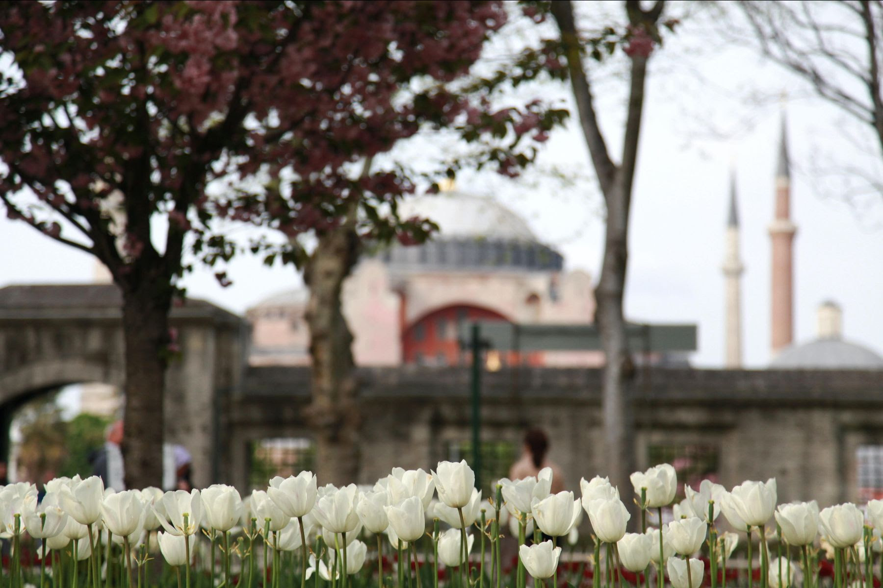 Фестивал на лалето в Истанбул