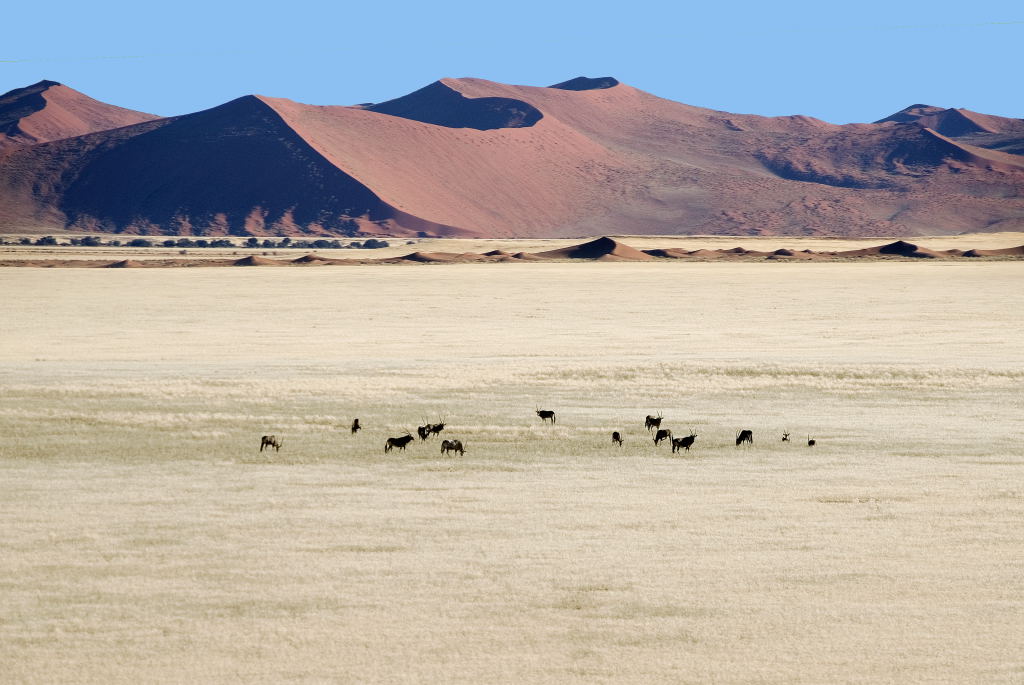 Скелетният бряг - Намибия