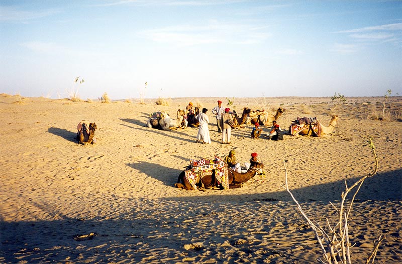 Панаирът на камили в Пушкар - Индия