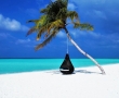 Малдиви или Сейшели - кои острови да изберете за почивка?
