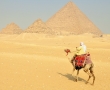 Египет се завръща - безопасно ли е да се пътува там (ИНФОГРАФИКА)