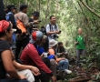Джунглите на Борнео - приключение в гора на 130 милиона години