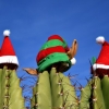 Три идеи-предизвикателства за нетрадиционна Коледа по света