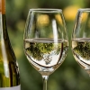 Как да съчетаваме храна и вино от български сортове