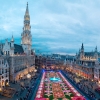 Килим от цветя в Брюксел - картина от 600 000 хиляди живи цветя