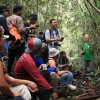 Джунглите на Борнео - приключение в гора на 130 милиона години