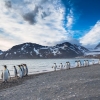 Фолклендските острови: накрай света за среща с пингвините