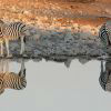 Национален парк Етоша - Намибия