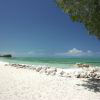 Остров Андрос - гмуркане от световна класа на Бахамите