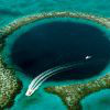 Белиз - гмуркане във втория по дължина в света бариерен риф