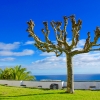 Азорски острови – топ 10 забележителности