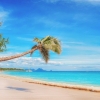 Карибите - острови за слънчев телепорт през зимата