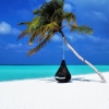 Малдиви или Сейшели - кои острови да изберете за почивка?
